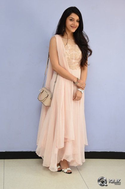 Mehreen-at-Krishna-Gadi-Veera-Prema-Gaadha-Movie-Thanks-Meet